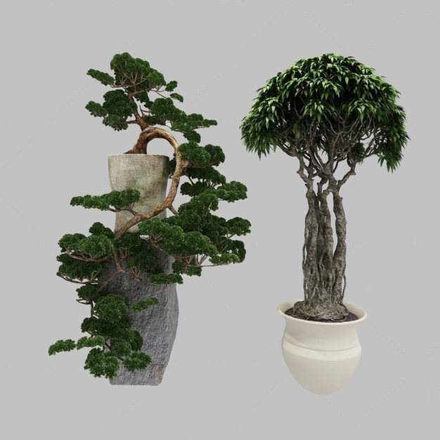 盆景3D模型